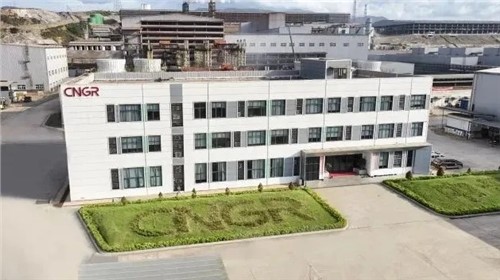 Z6尊龙时凯股份中青与德国项目通过RMI ESG审核